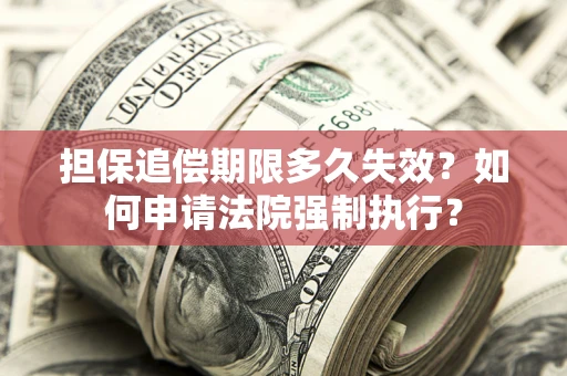 北京担保追偿期限多久失效？如何申请法院强制执行？