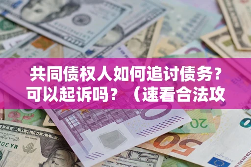 北京共同债权人如何追讨债务？可以起诉吗？（速看合法攻略）